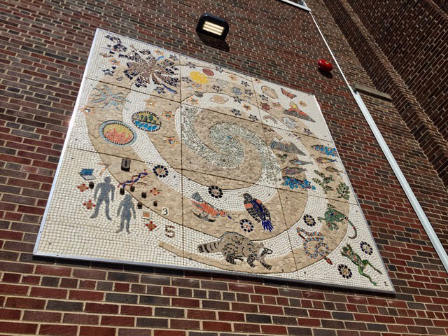 Example of a school beautification project